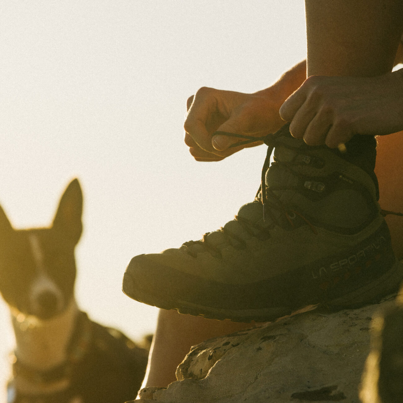 hiker tying shoelace on boot while dog looks