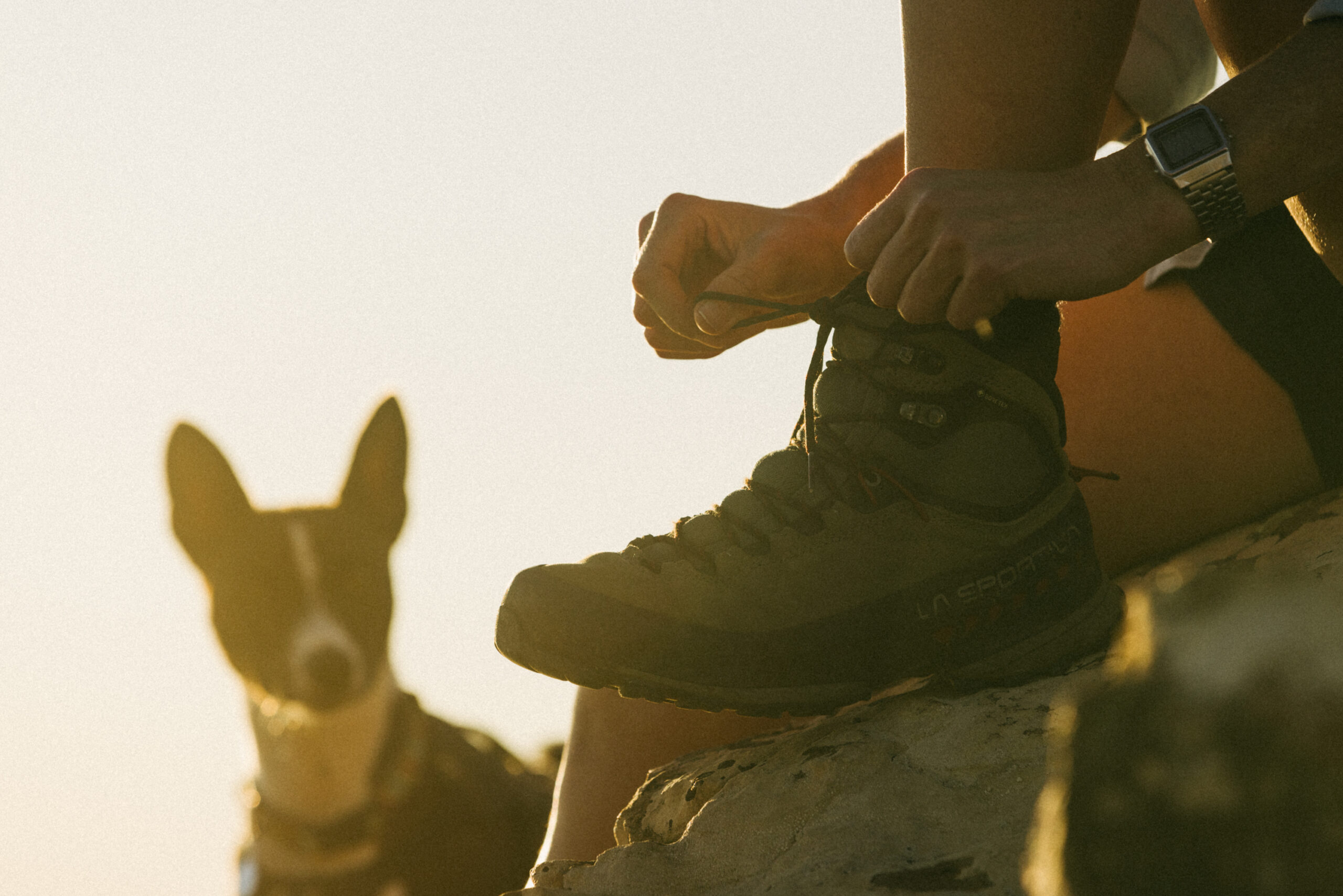 hiker tying shoelace on boot while dog looks