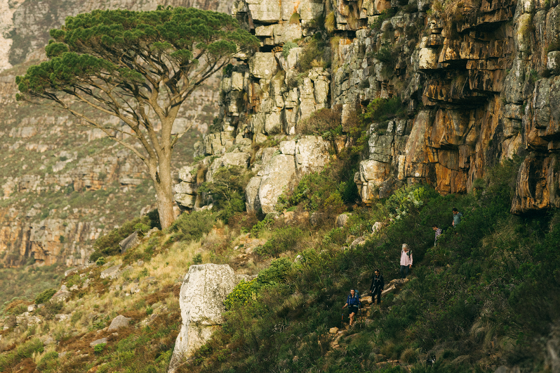 Hikers walking along a trail on Table Mountain above Cape Town