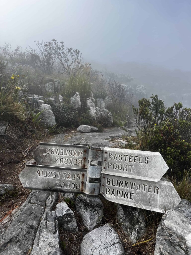 navigation-signs-on-table-mountain