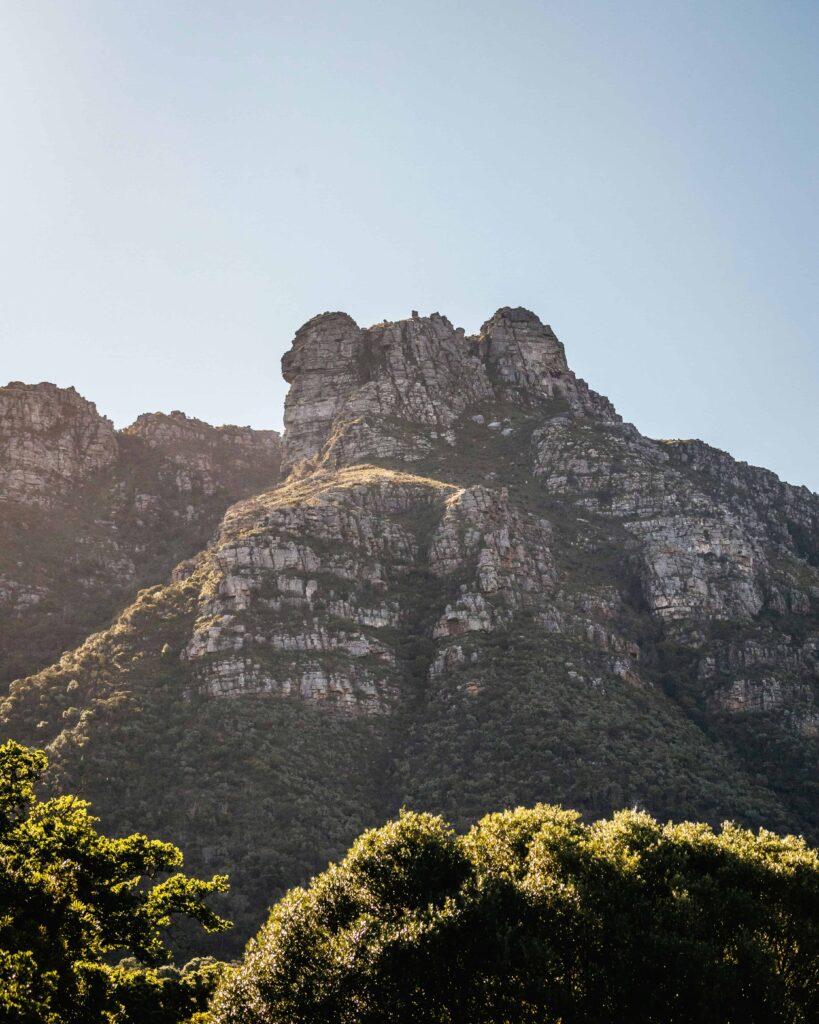 rocky peak on table mountain with forest in foreground